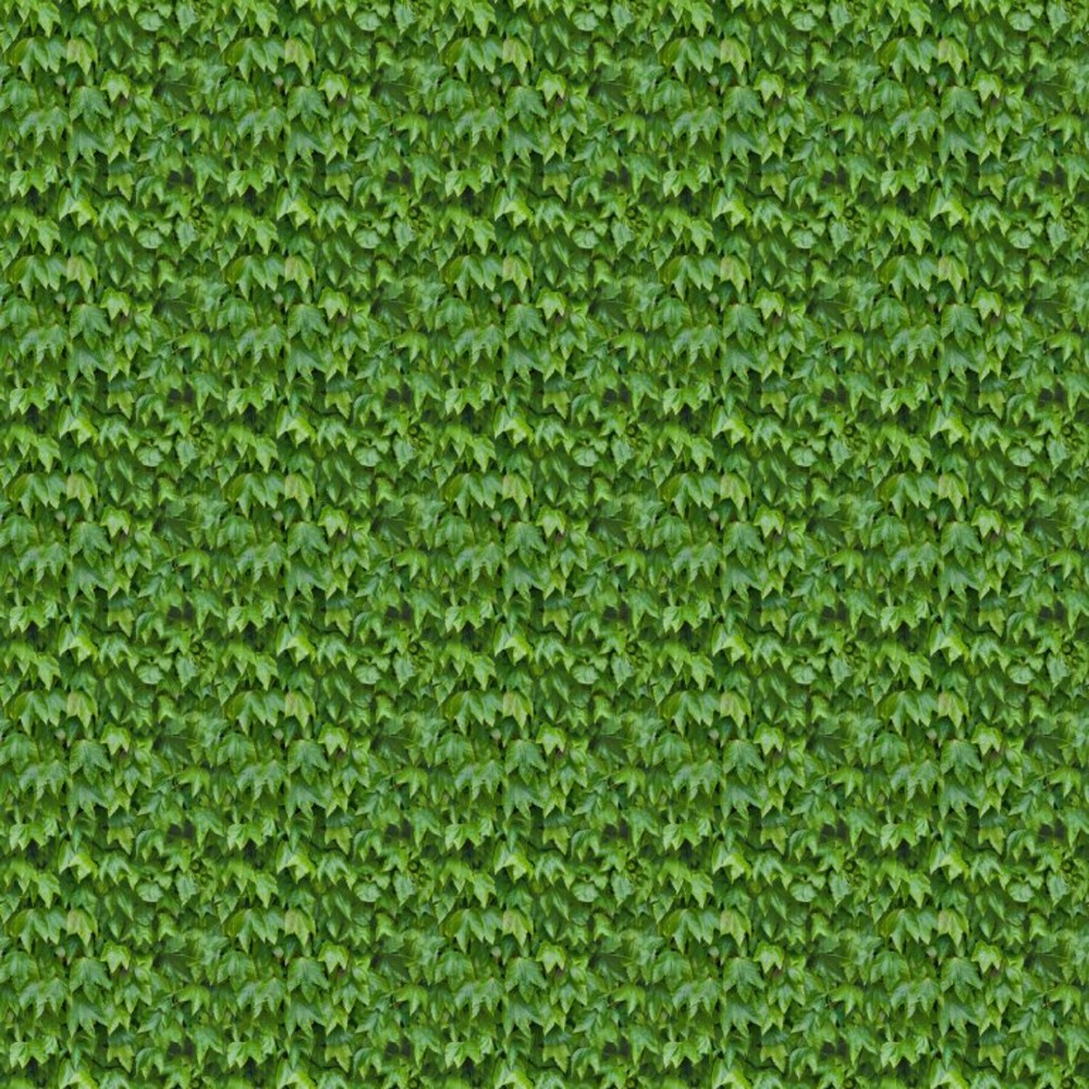 New Large Image(1500 1500)