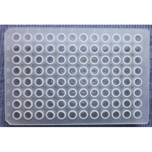 96 Well 0.2 PCR Plate