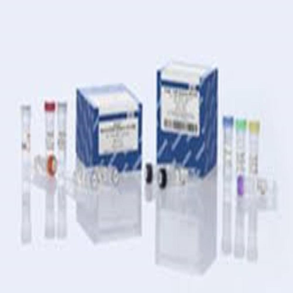 Certal CHO Detection Kit (100)